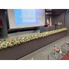 گل مصنوعی برای لبه سن